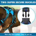 Reflective No Pull Dog Harness And Leash Set-M - Image 4