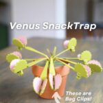 3D Printed Venus Flytrap Plant Snack Clips - Image 2