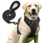 Reflective No Pull Dog Harness And Leash Set-S - Image 5