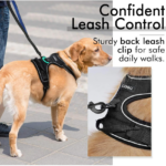 Reflective No Pull Dog Harness And Leash Set-XL - Image 4