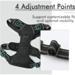 Reflective No Pull Dog Harness And Leash Set-L - Image 2