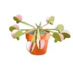 3D Printed Venus Flytrap Plant Snack Clips